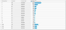 Screenshot of Google Ads Attribution Time Lag for SaaS Company