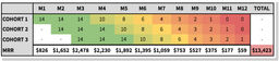 Data showing the impact of 30% monthly churn for a SaaS company
